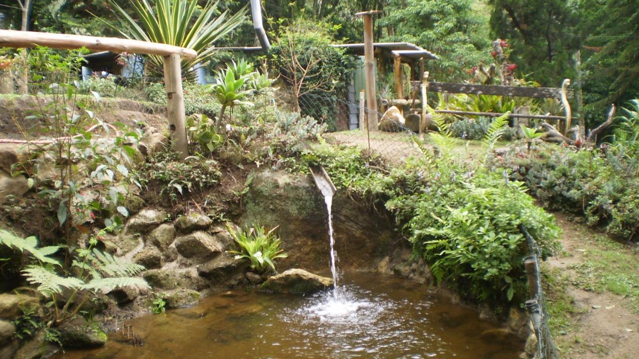 Chales Bamboo Jungle Petropolis  Exterior photo