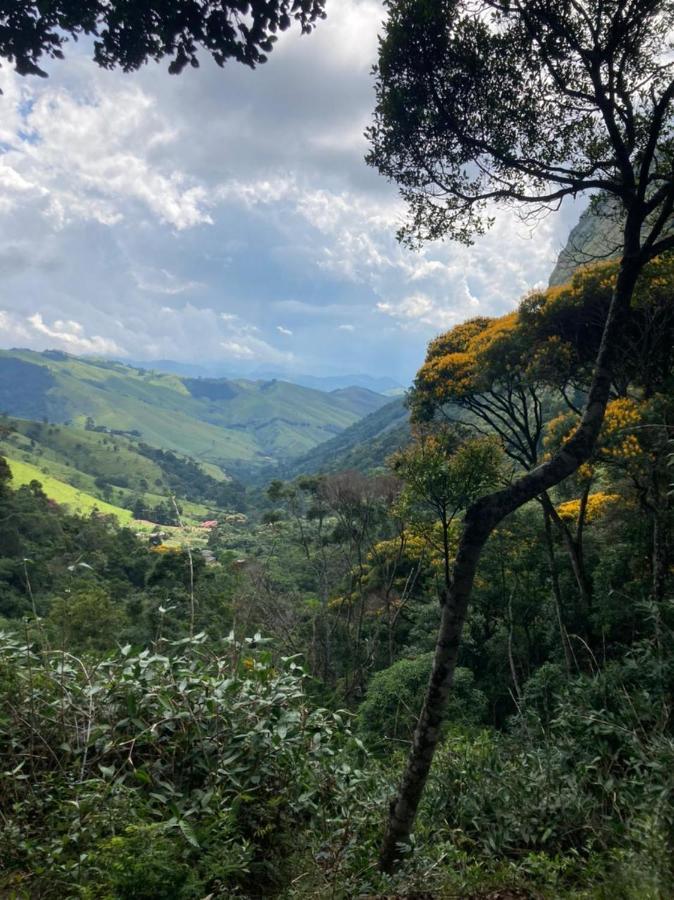 Chales Bamboo Jungle Petropolis  Exterior photo