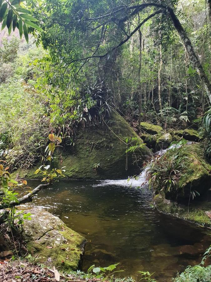 Chales Bamboo Jungle Petropolis  Exterior photo