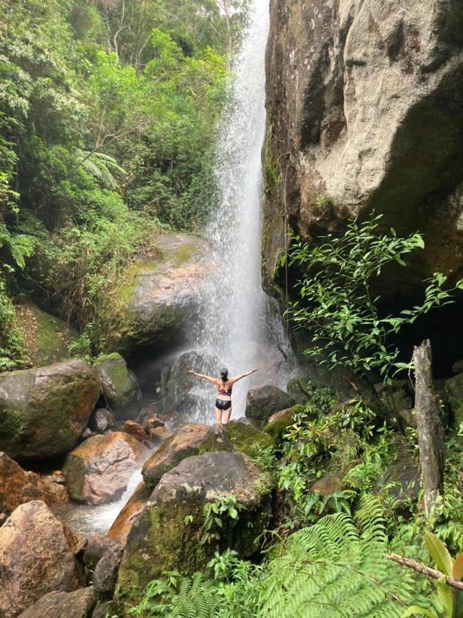 Chales Bamboo Jungle Petropolis  Exterior photo