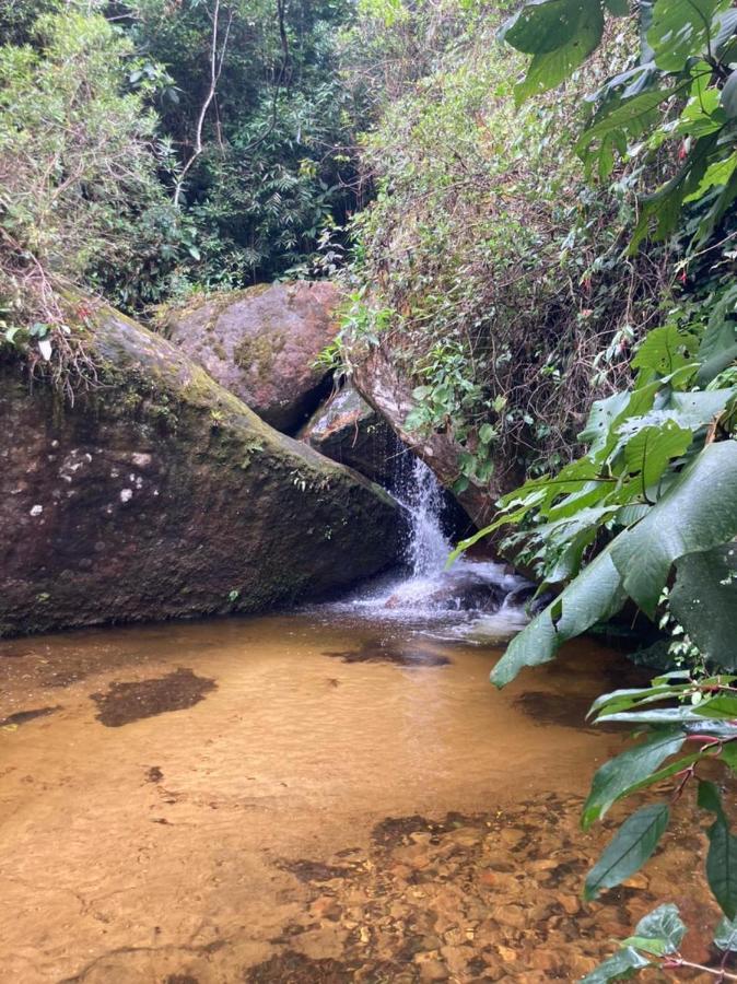 Chales Bamboo Jungle Petropolis  Exterior photo