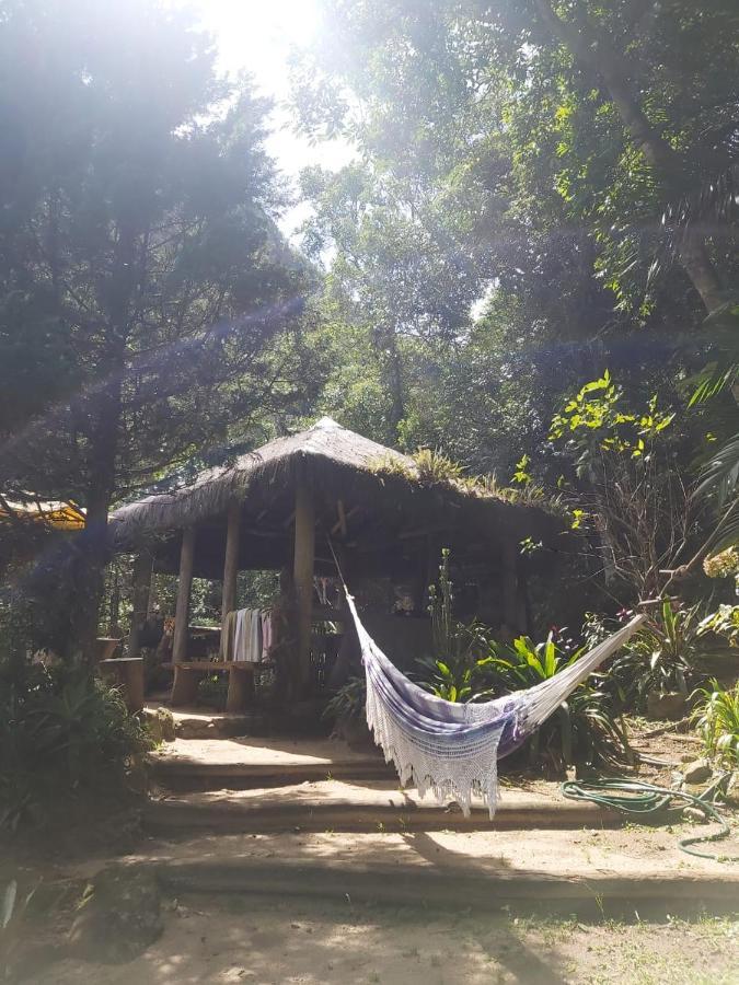 Chales Bamboo Jungle Petropolis  Exterior photo