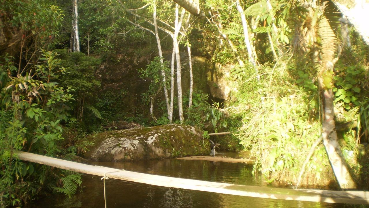 Chales Bamboo Jungle Petropolis  Exterior photo