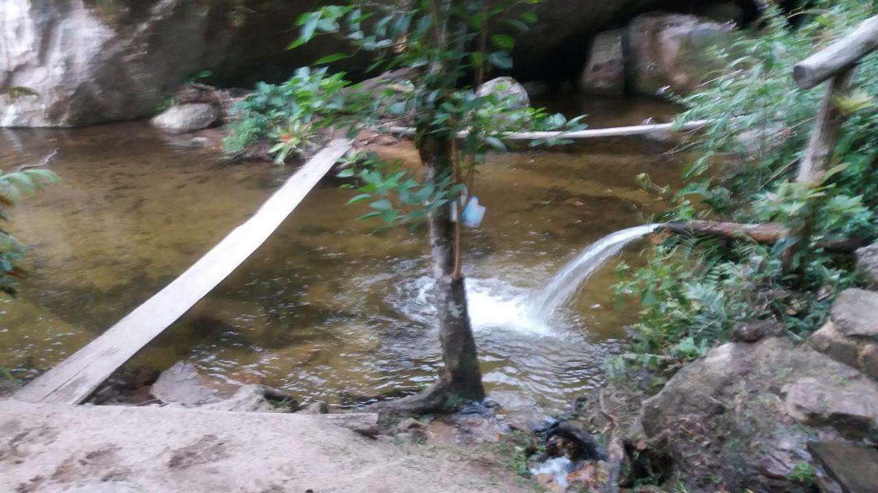 Chales Bamboo Jungle Petropolis  Exterior photo